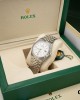 Rolex Replica Land-Dweller Watch 127334-0001