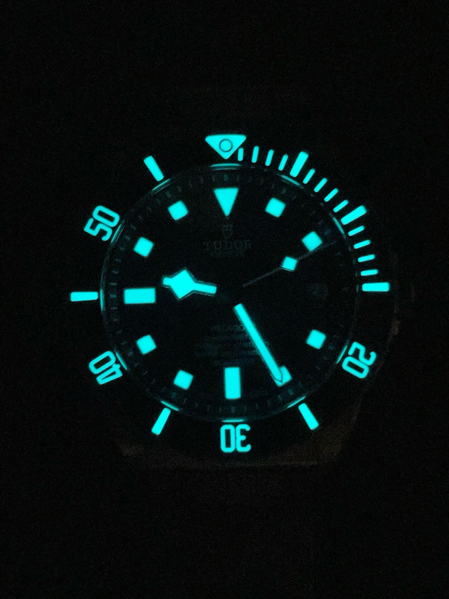 Tudor Replica Pelagos Super Clone Watch M25600TN-0001